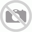 TWINS logo