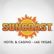 The Suncoast logo