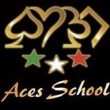 Bareggio Acesschool logo