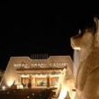 Sinai Grand Casino logo